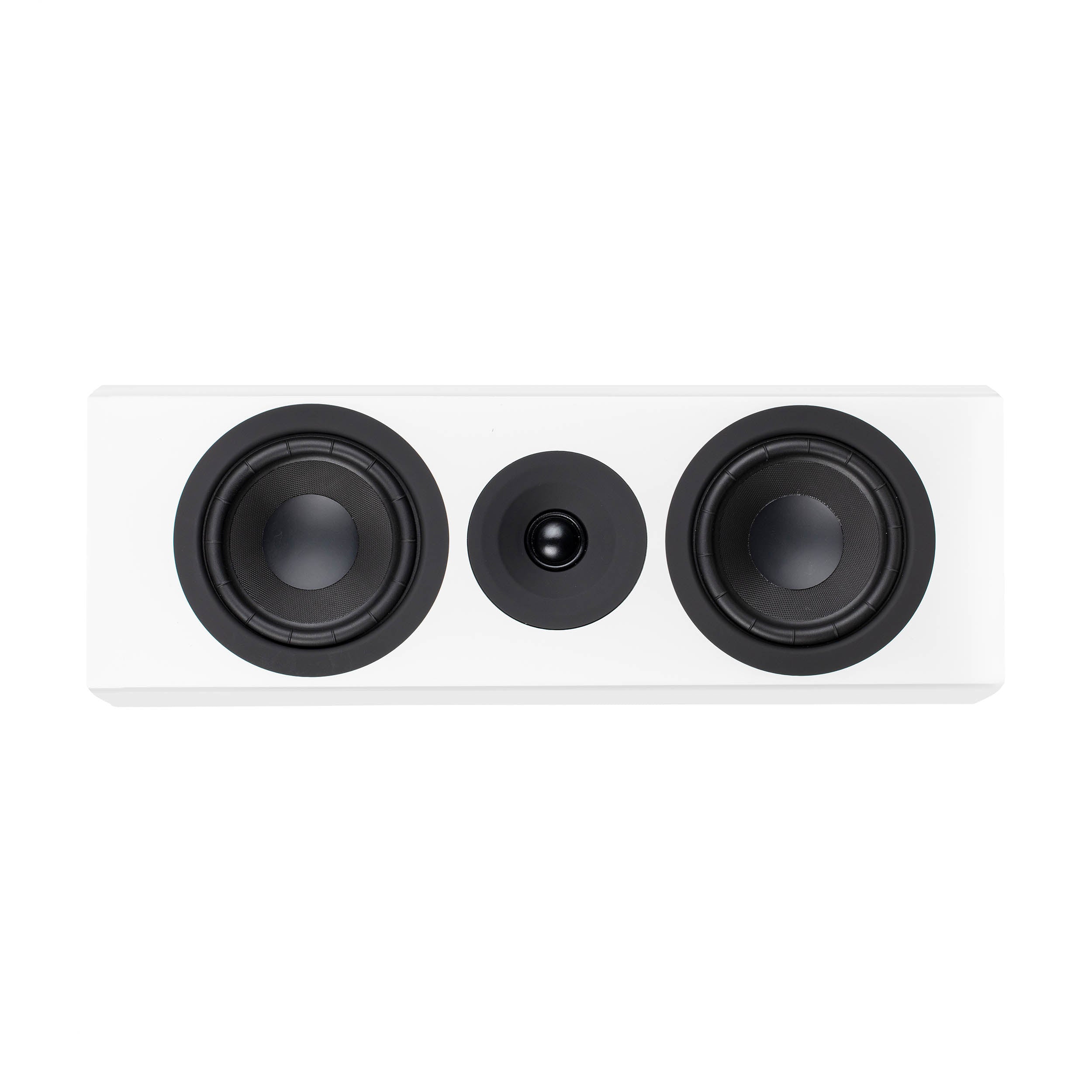 System Audio SA Legend 10.2 Silverback