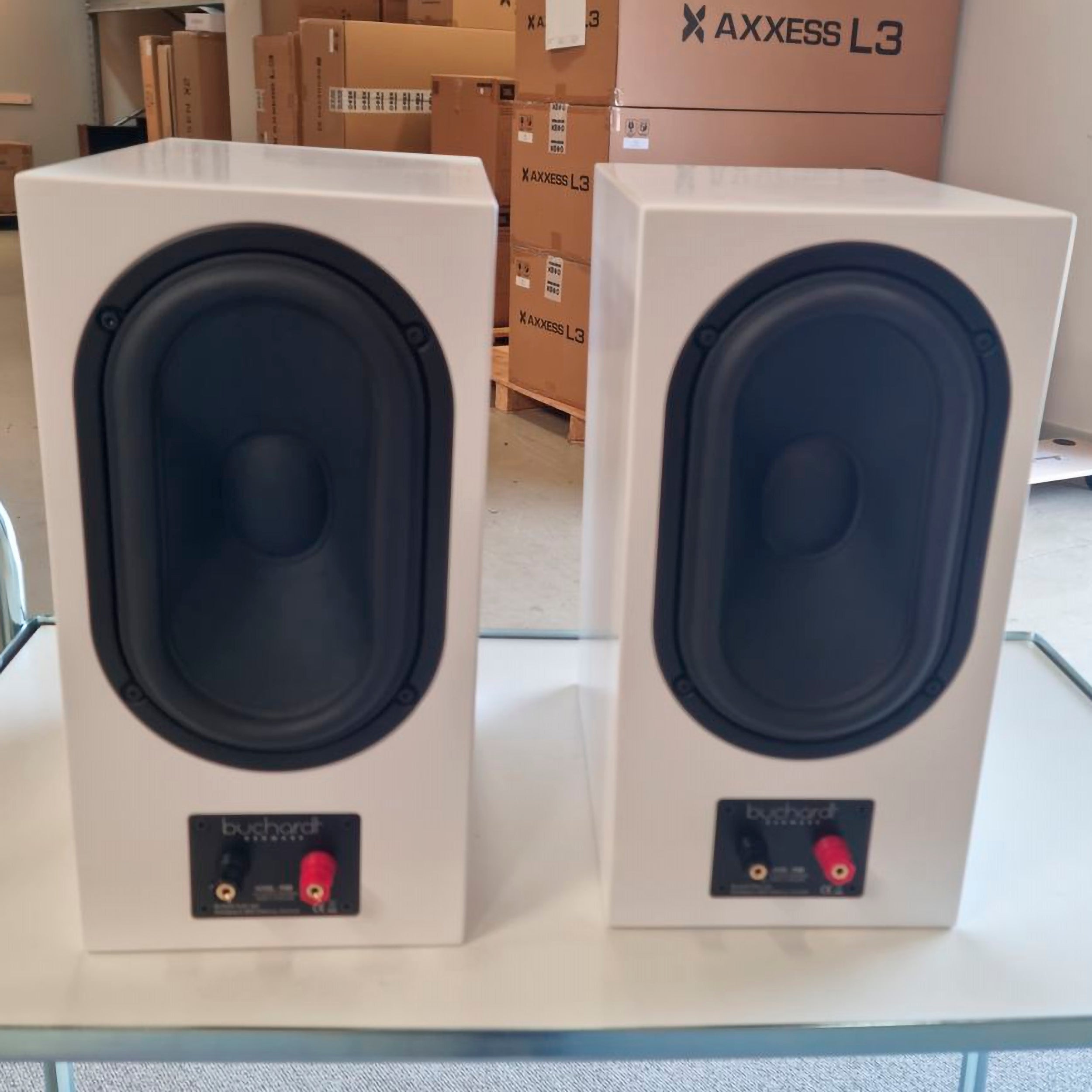 Buchardt Audio P300 (BRUGT)