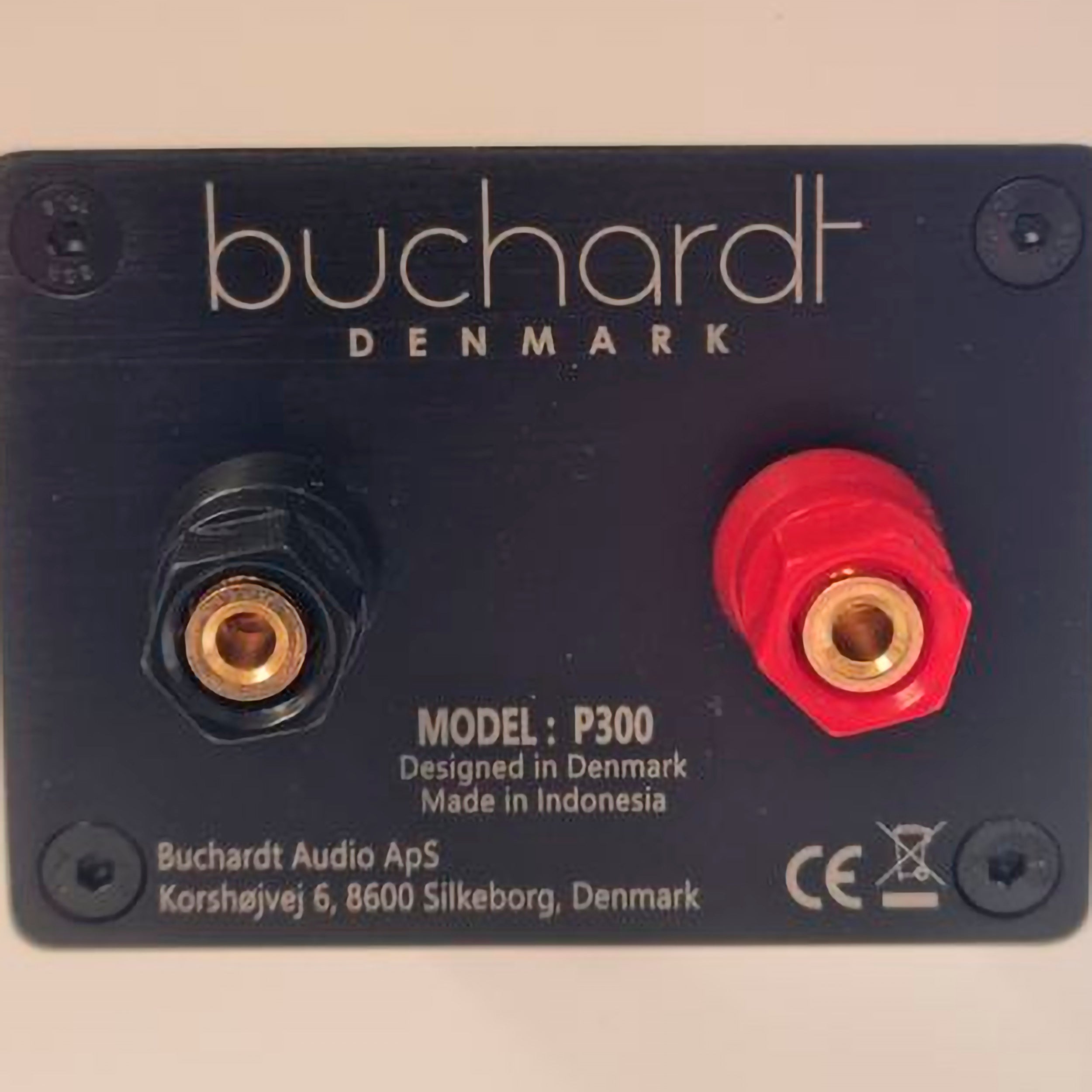 Buchardt Audio P300 (BRUGT)