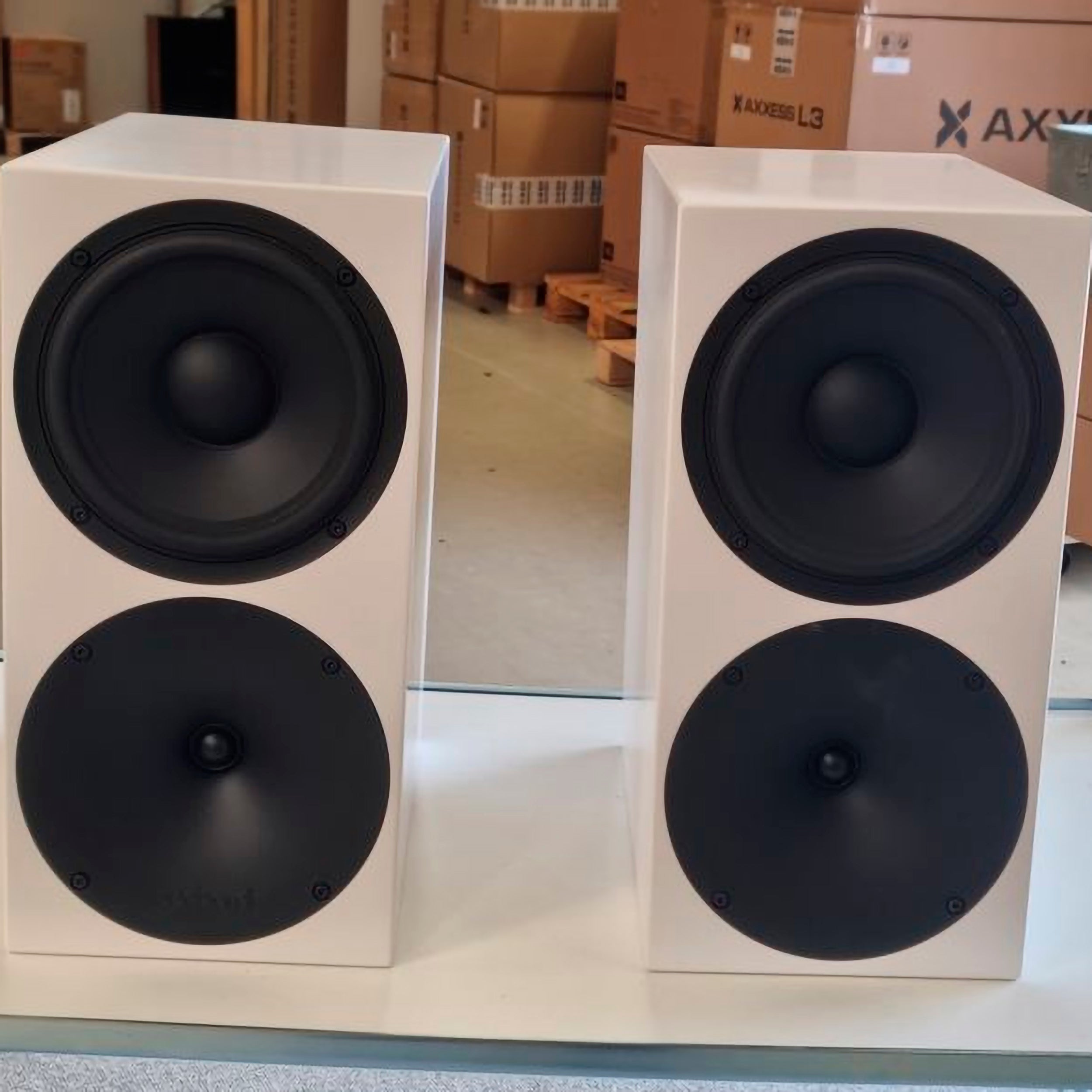 Buchardt Audio P300 (BRUGT)