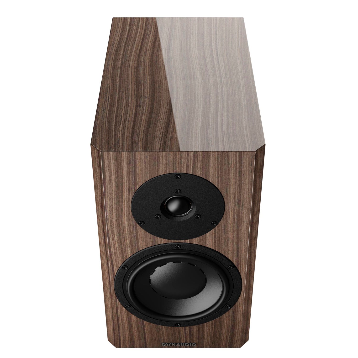 Dynaudio Special Forty