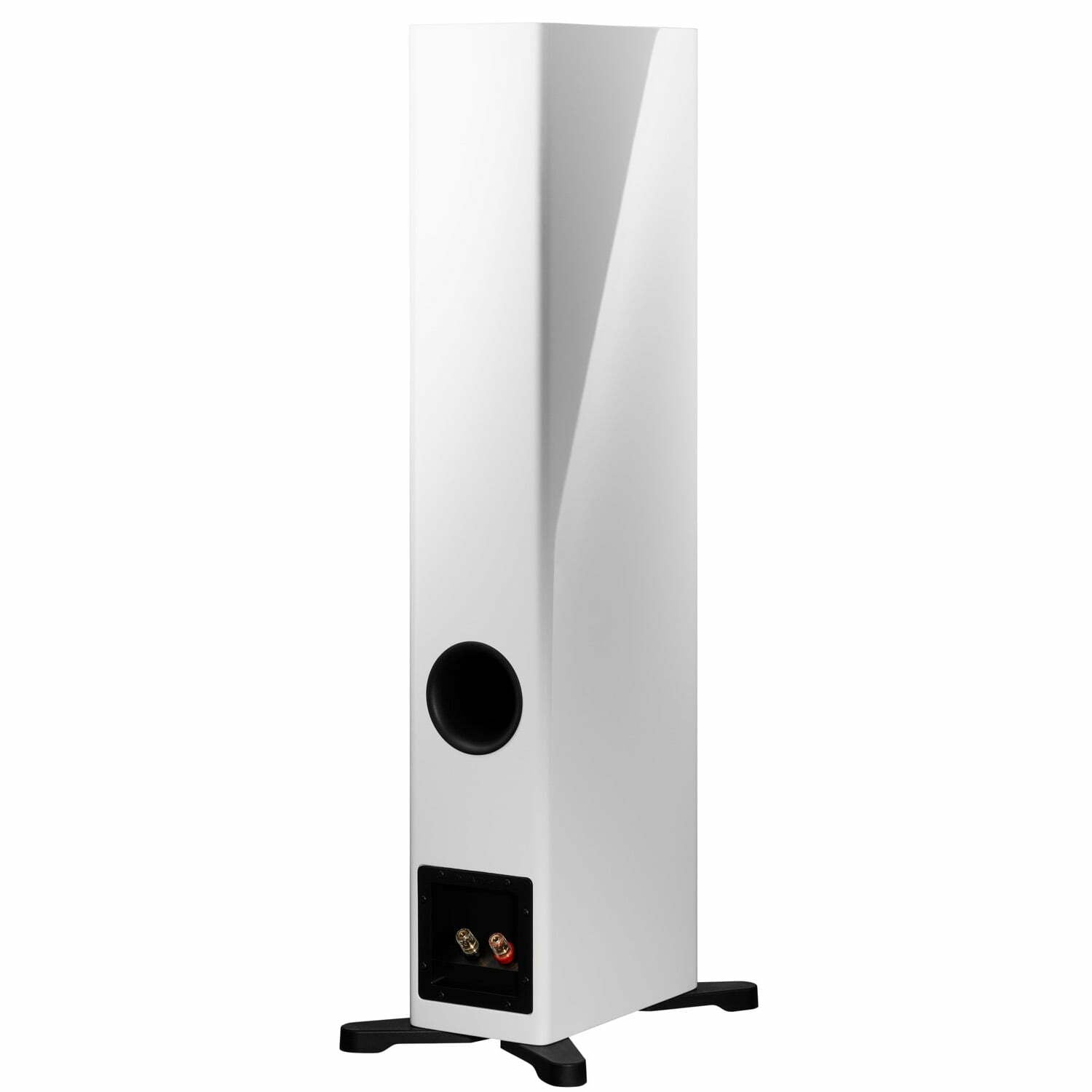 Dynaudio Evoke 30