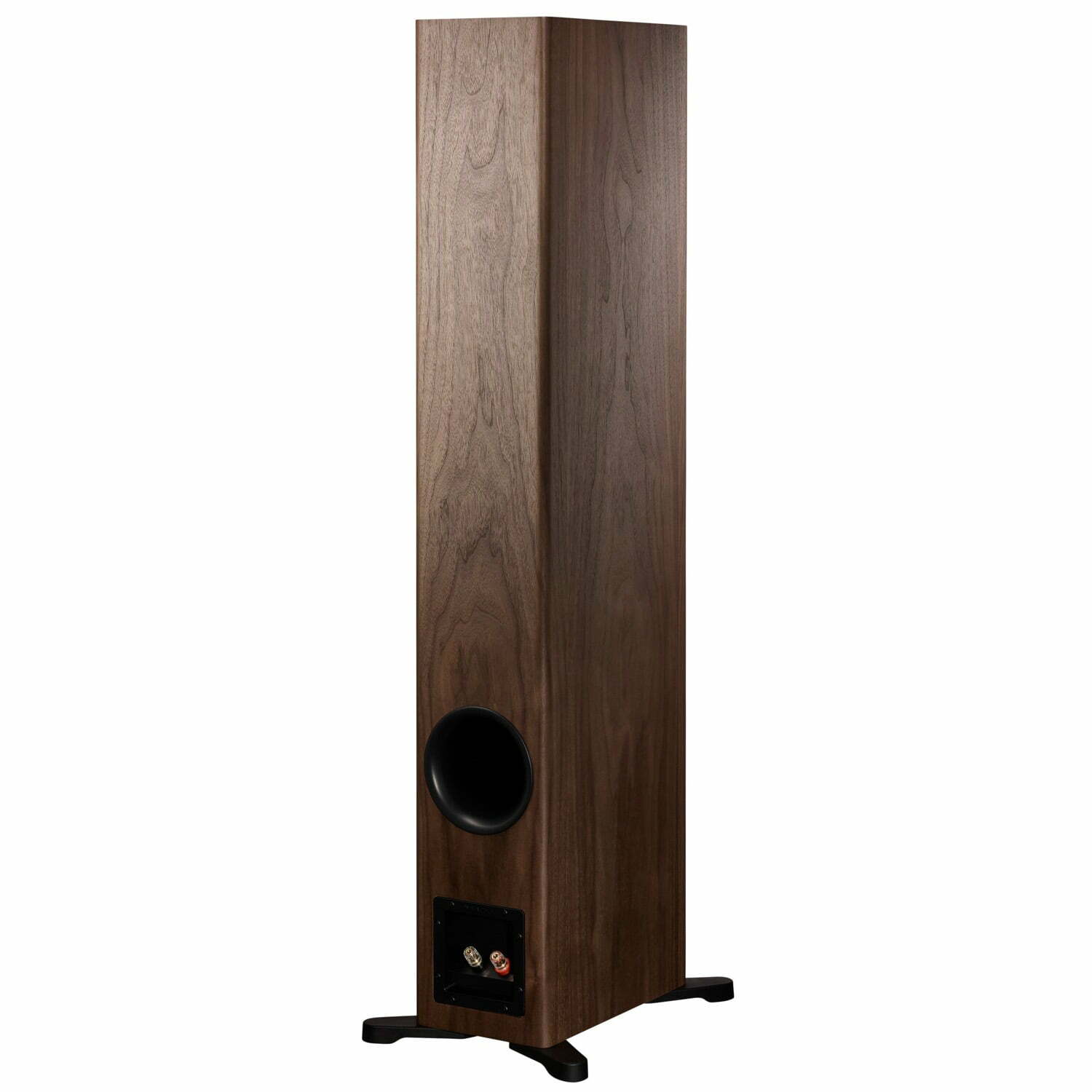 Dynaudio Evoke 50